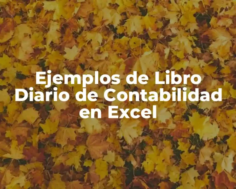Ejemplos de Libro Diario de Contabilidad en Excel