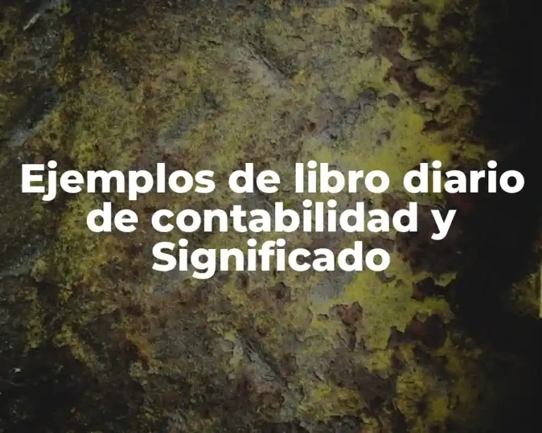 Ejemplos de libro diario de contabilidad y Significado
