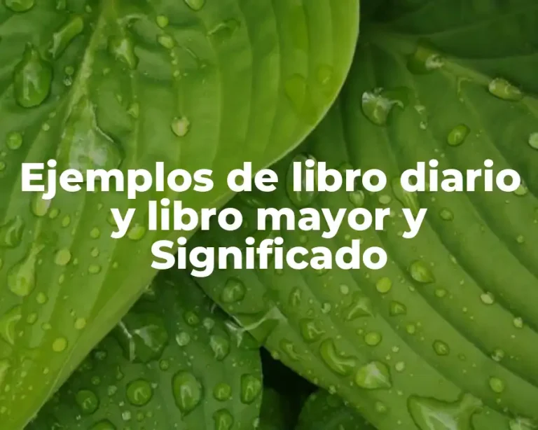 Ejemplos de libro diario y libro mayor y Significado