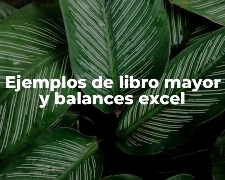 Ejemplos de libro mayor y balances excel