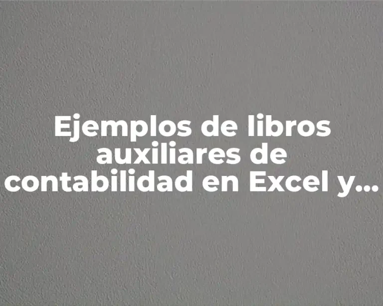 Ejemplos de libros auxiliares de contabilidad en Excel y Significado