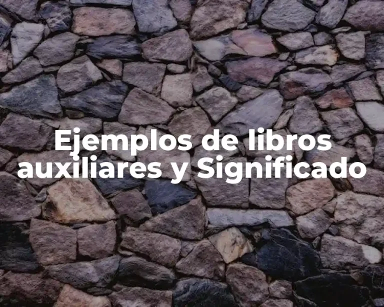 Ejemplos de libros auxiliares y Significado