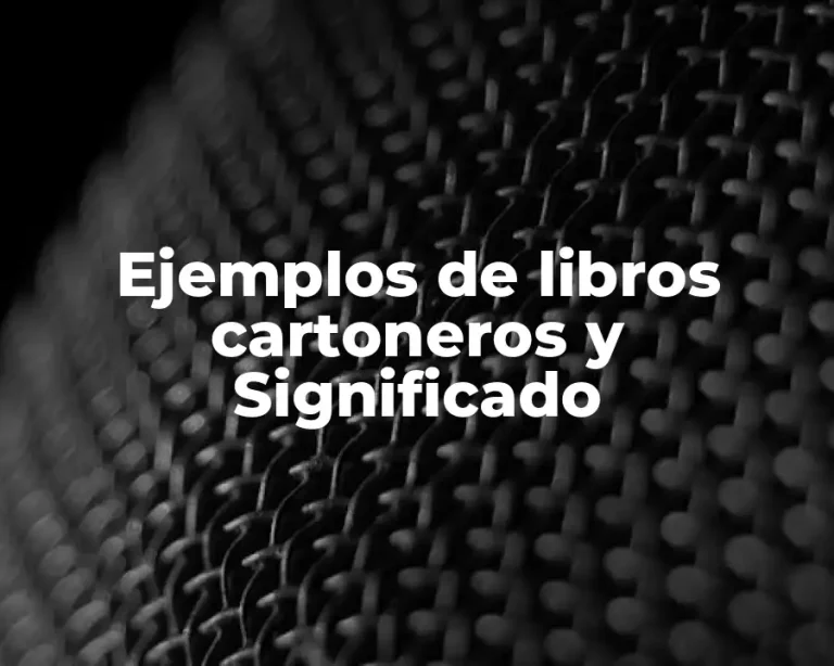 Ejemplos de libros cartoneros y Significado