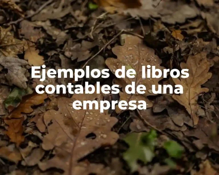 Ejemplos de libros contables de una empresa