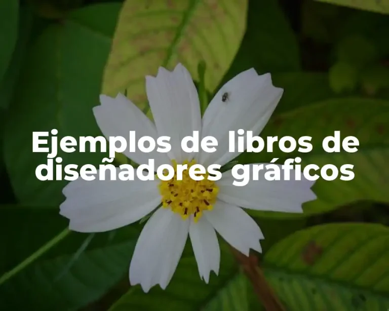 Ejemplos de libros de diseñadores gráficos