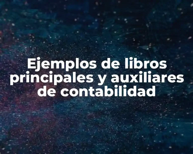 Ejemplos de libros principales y auxiliares de contabilidad