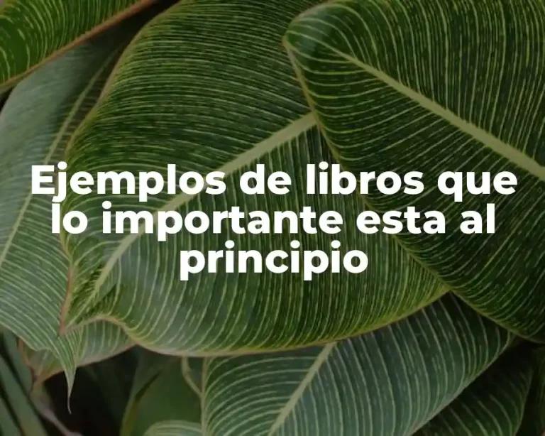 Ejemplos de libros que lo importante esta al principio