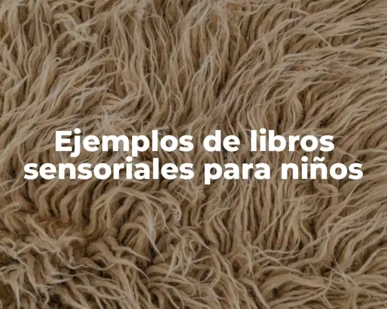 Ejemplos de libros sensoriales para niños
