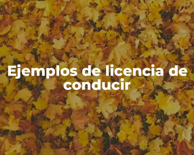 Ejemplos de licencia de conducir