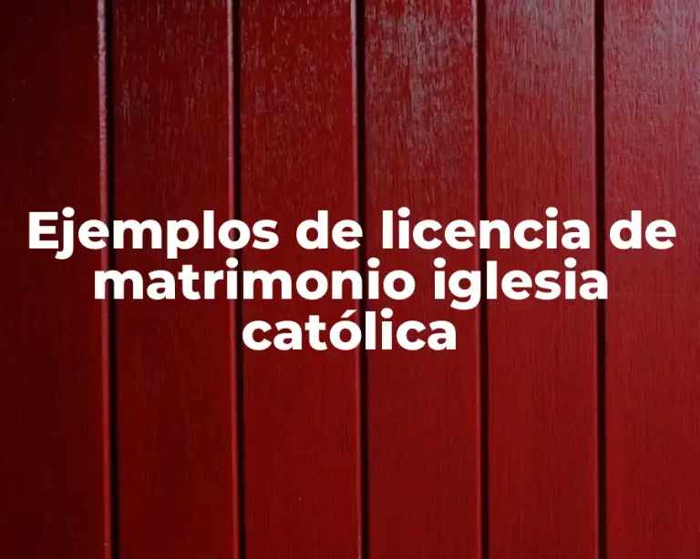 Ejemplos de licencia de matrimonio iglesia católica