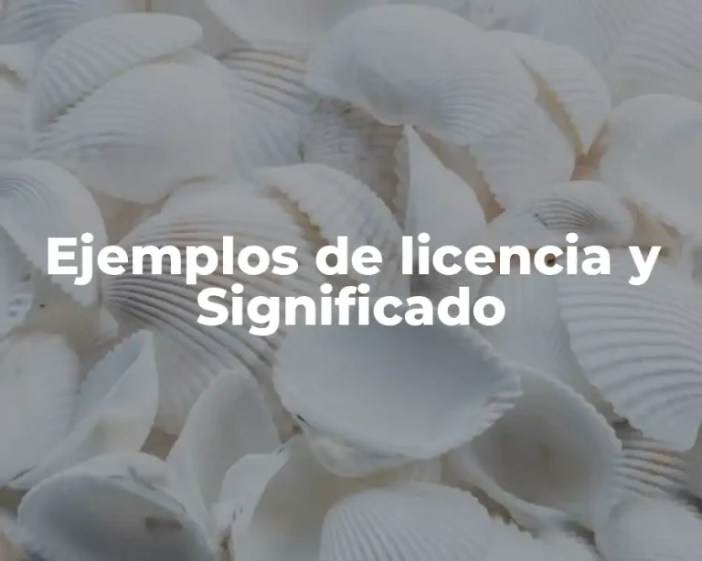 Ejemplos de licencia y Significado