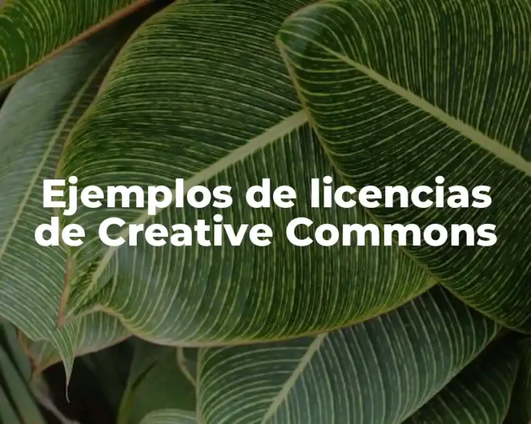 Ejemplos de licencias de Creative Commons