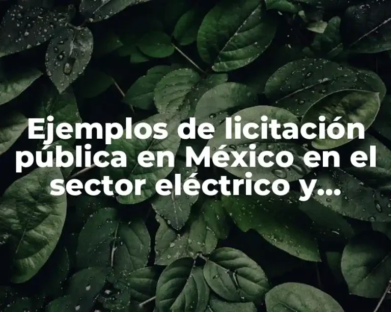Ejemplos de licitación pública en México en el sector eléctrico y Significado