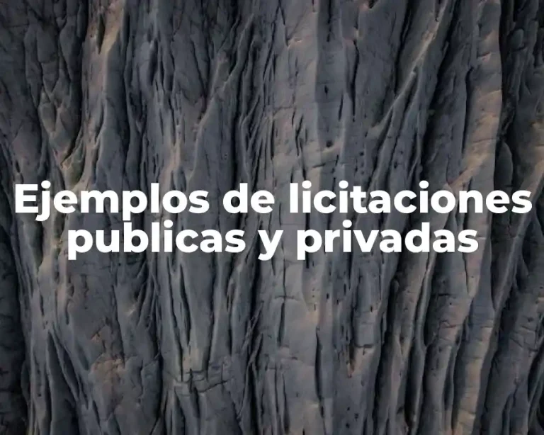 Ejemplos de licitaciones publicas y privadas