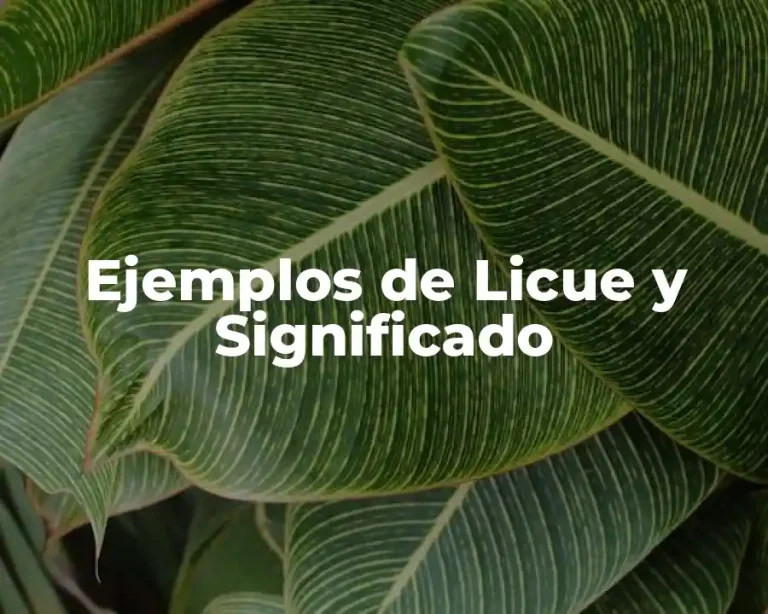 Ejemplos de Licue y Significado
