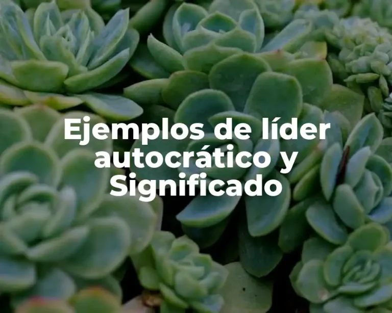 Ejemplos de líder autocrático y Significado