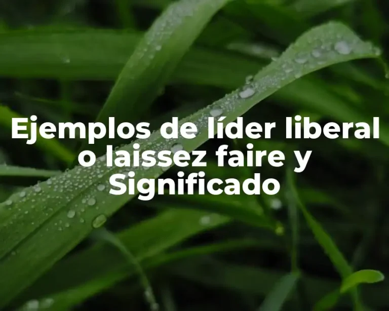 Ejemplos de líder liberal o laissez faire y Significado