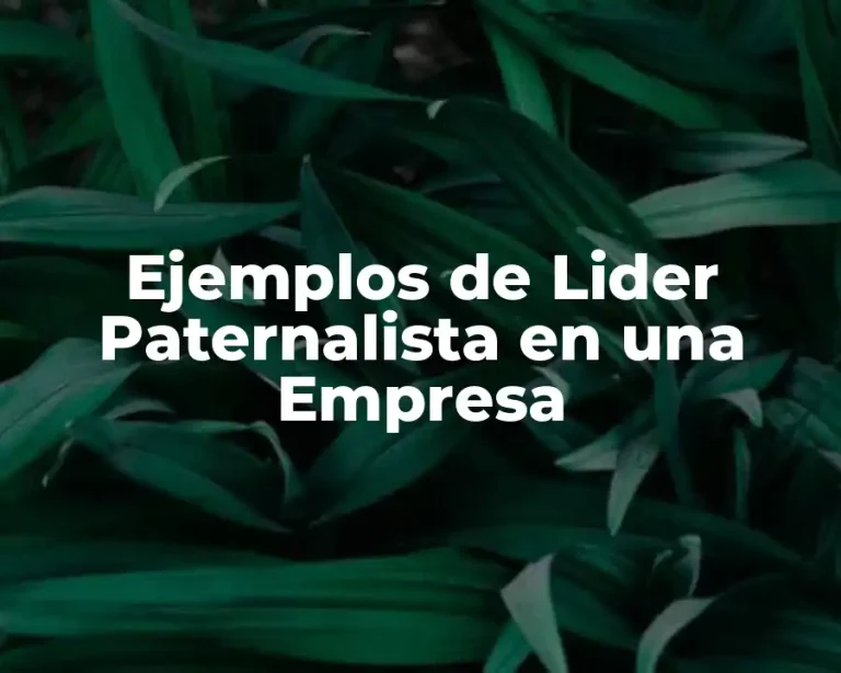 Ejemplos de Lider Paternalista en una Empresa