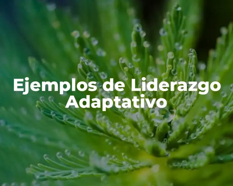 Ejemplos de Liderazgo Adaptativo