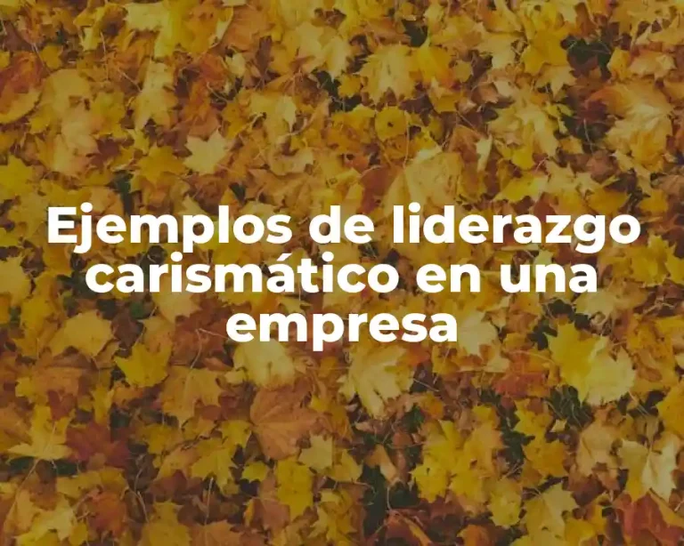 Ejemplos de liderazgo carismático en una empresa