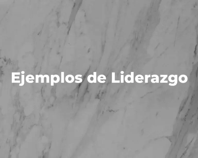 Ejemplos de Liderazgo