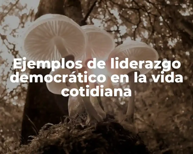 Ejemplos de liderazgo democrático en la vida cotidiana