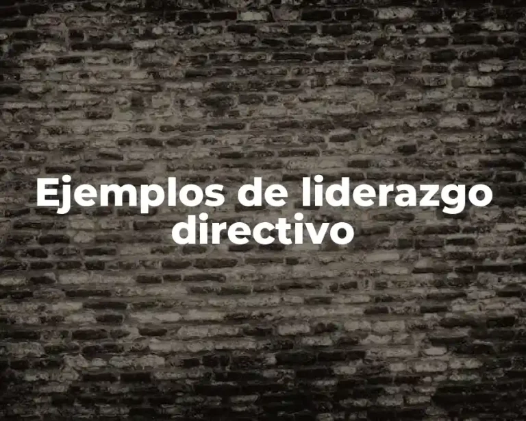 Ejemplos de liderazgo directivo