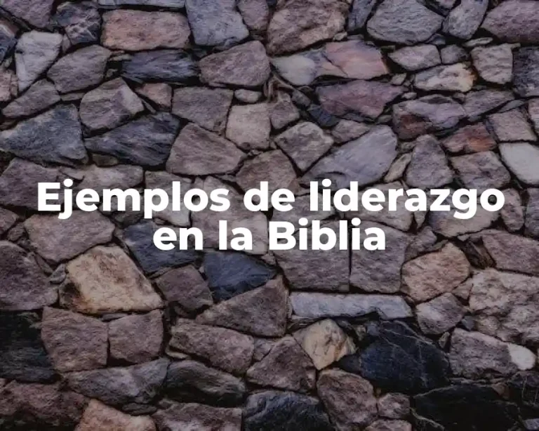 Ejemplos de liderazgo en la Biblia
