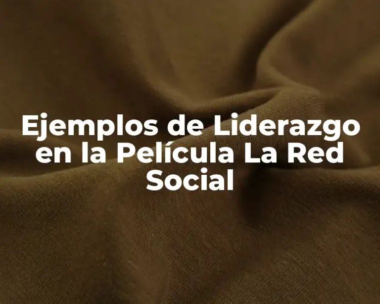 Ejemplos de Liderazgo en la Película La Red Social