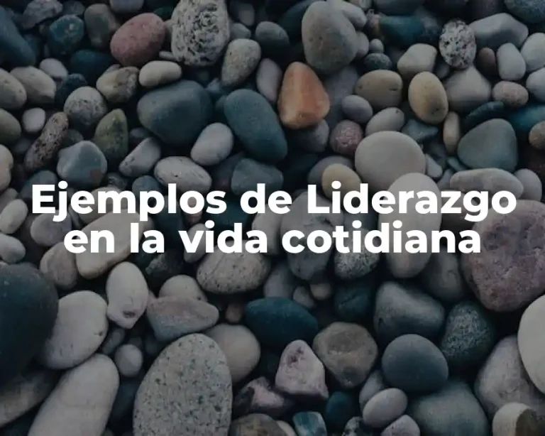 Ejemplos de Liderazgo en la vida cotidiana