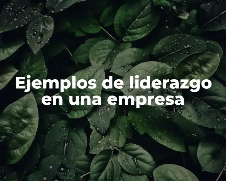Ejemplos de liderazgo en una empresa