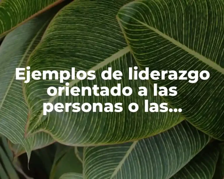 Ejemplos de liderazgo orientado a las personas o las relaciones