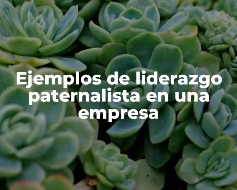 Ejemplos de liderazgo paternalista en una empresa