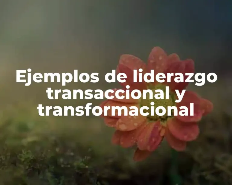 Ejemplos de liderazgo transaccional y transformacional