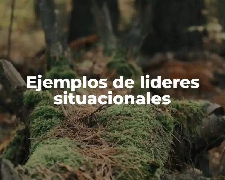 Ejemplos de lideres situacionales