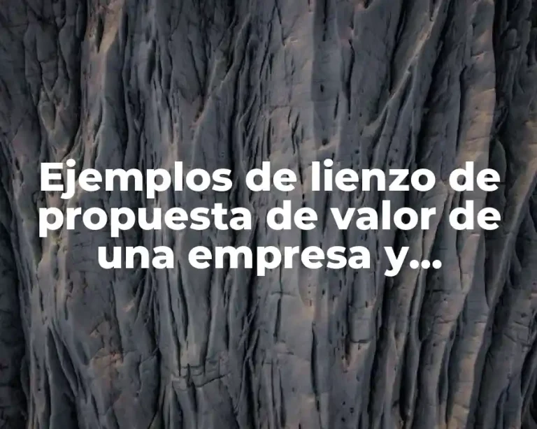 Ejemplos de lienzo de propuesta de valor de una empresa y Significado