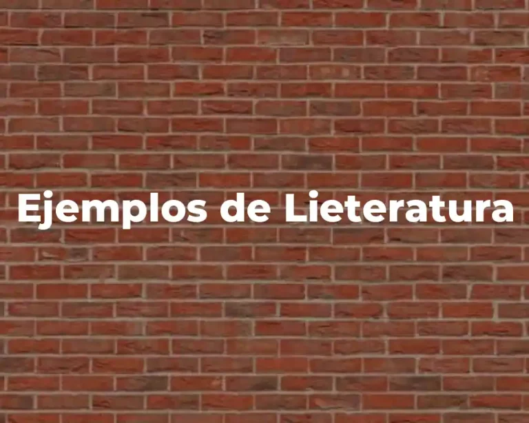 Ejemplos de Lieteratura