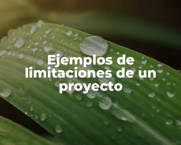Ejemplos de limitaciones de un proyecto