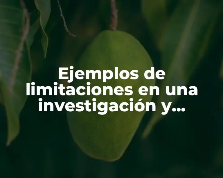 Ejemplos de limitaciones en una investigación y Significado