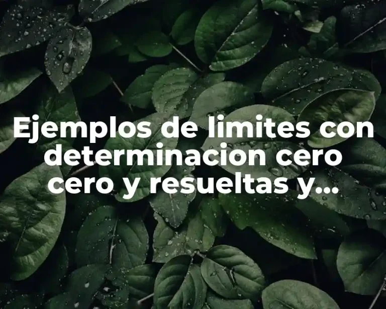 Ejemplos de limites con determinacion cero cero y resueltas y Significado