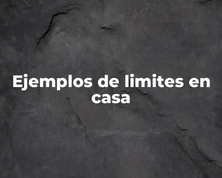 Ejemplos de limites en casa
