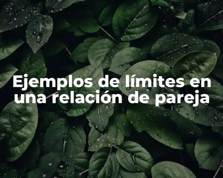 Ejemplos de límites en una relación de pareja