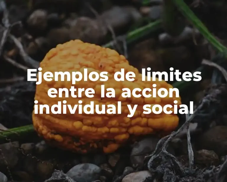 Ejemplos de limites entre la accion individual y social
