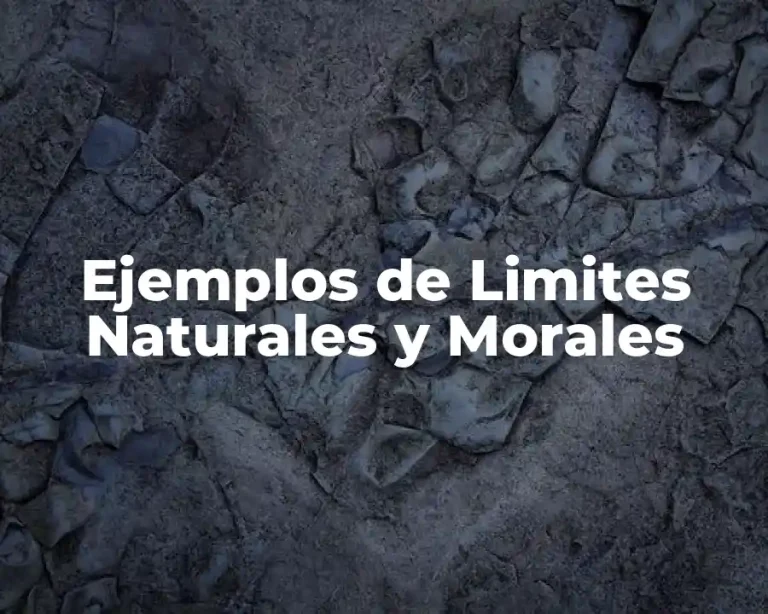 Ejemplos de Limites Naturales y Morales