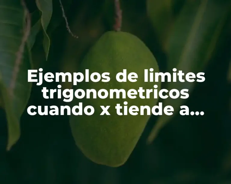 Ejemplos de limites trigonometricos cuando x tiende a infinito