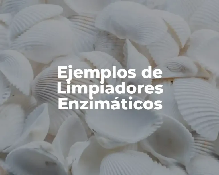 Ejemplos de Limpiadores Enzimáticos