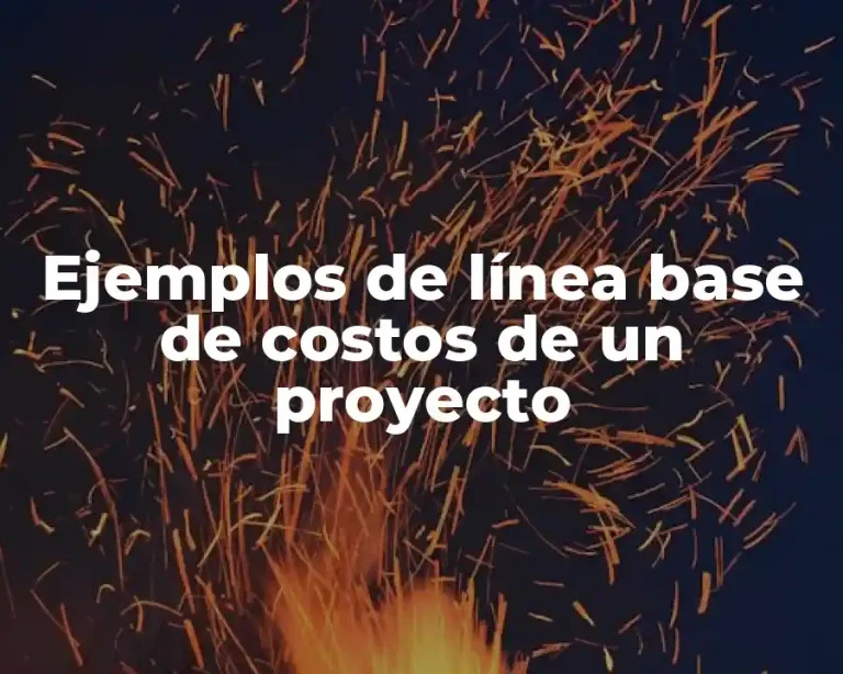 Ejemplos de línea base de costos de un proyecto