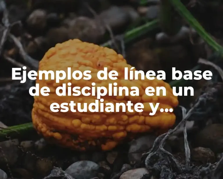 Ejemplos de línea base de disciplina en un estudiante y Significado