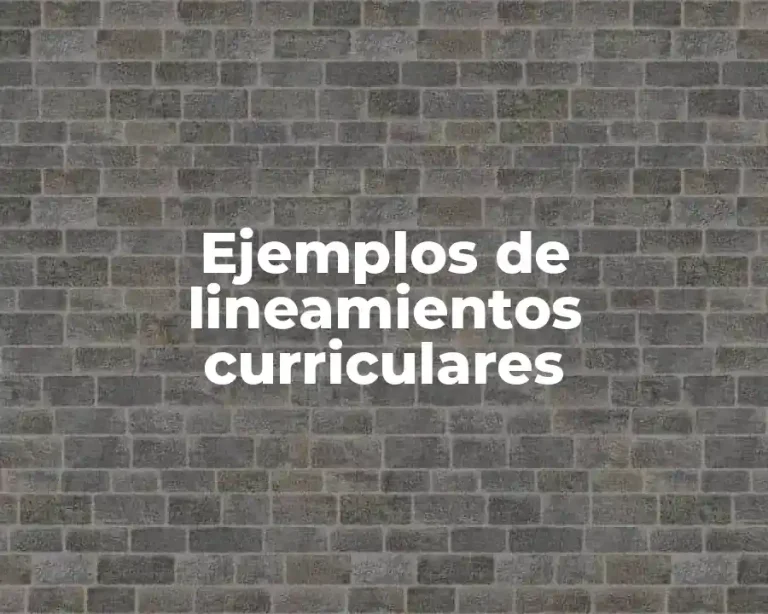 Ejemplos de lineamientos curriculares