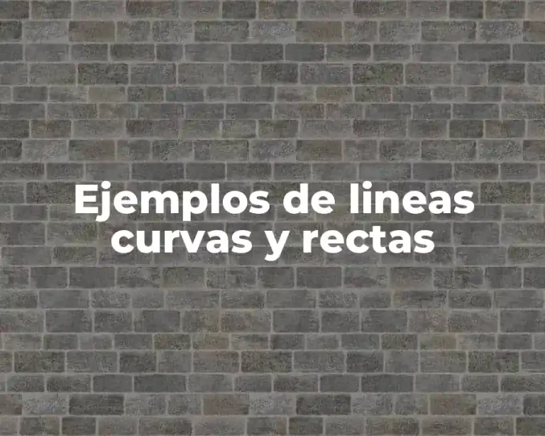 Ejemplos de lineas curvas y rectas